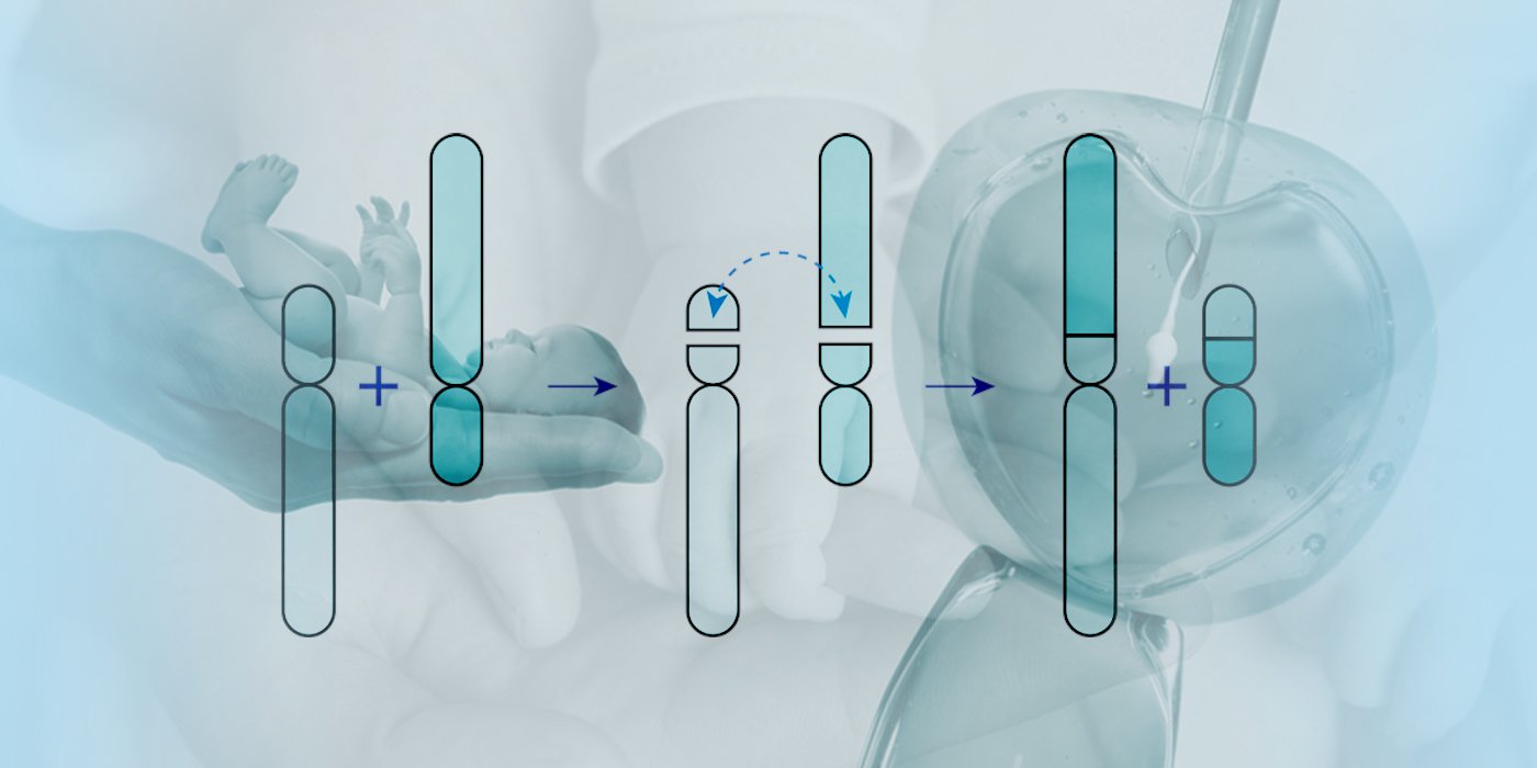 Preimplantation Genetic Testing for Structural Rearrangements (PGT-SR ...